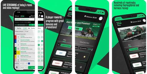 playup betting|PlayUp Racebook .
